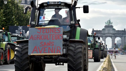Crise agricole: Bruxelles débloque 500 millions d’euros d’aide - ảnh 1